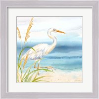 Framed 'By the Seashore XV' border=