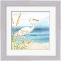 Framed 'By the Seashore XV' border=