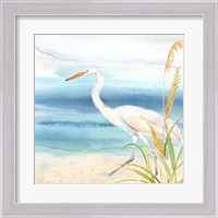 Framed 'By the Seashore XVI' border=