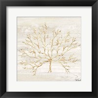 Calm Shores IV Framed Print