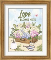 Framed 'In My Garden XVIII' border=