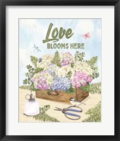 Framed 'In My Garden XVIII' border=