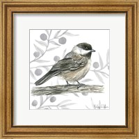 Framed 'Backyard Birds II-Chickadee' border=