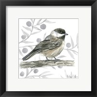 Framed 'Backyard Birds II-Chickadee' border=