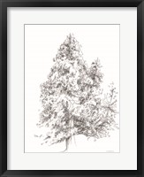 Whispering Pines 1 Framed Print