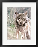 Pacific Coast Wildlife 1 Framed Print