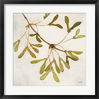 Maple Branch Crop Framed Print