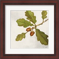 Framed 'Oak Branch Crop' border=