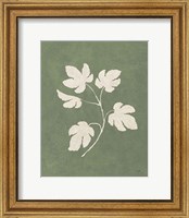 Framed 'Botanical Study III Forest Green' border=