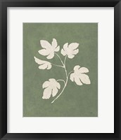 Botanical Study III Forest Green Framed Print