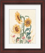 Framed 'Sunflower Season IX Bright' border=