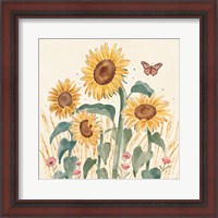 Framed 'Sunflower Season III Bright' border=