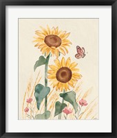Framed Sunflower Season VIII Bright