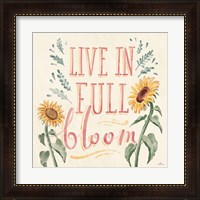 Framed 'Sunflower Season VI Bright' border=