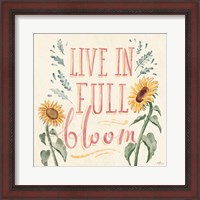 Framed 'Sunflower Season VI Bright' border=