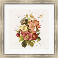 Framed 'Vintage Petals VIII' border=