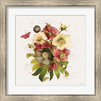 Framed 'Vintage Petals VII' border=