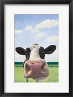 Framed Funny Cow