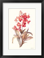 Autumn Orchid I Framed Print