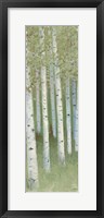 Green Forest I Framed Print