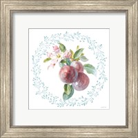 Framed 'Blooming Orchard V' border=