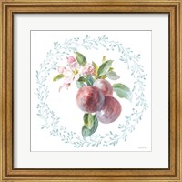 Framed 'Blooming Orchard V' border=