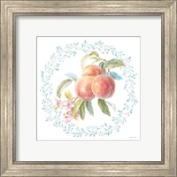 Framed 'Blooming Orchard III' border=