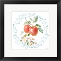 Framed 'Blooming Orchard II' border=