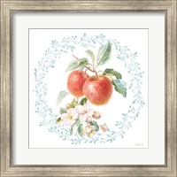 Framed 'Blooming Orchard II' border=