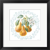 Framed 'Blooming Orchard IV' border=