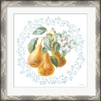 Framed 'Blooming Orchard IV' border=