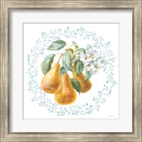 Framed 'Blooming Orchard IV' border=