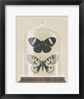 Framed Cottage Butterflies I