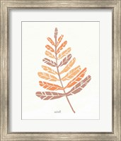 Framed 'Botanical Sketches II Spice' border=