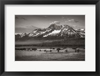 Framed Stanley Basin