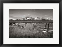 Framed Stanley Basin Fence