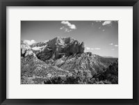 Framed Timber Top