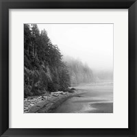 Framed Salt Creek III