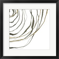 Framed 'Not Quite Concentric IV' border=