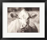 Framed Pasture Cow Neutral