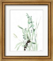 Framed 'Grasses III' border=