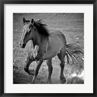 Framed Horse Runner