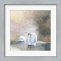 Framed Swans in Mist