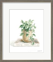 Framed 'Grown at Home II' border=