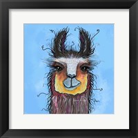 Framed Llama