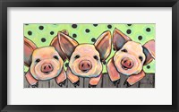 Framed Pig Pen