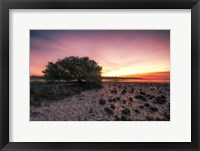 Framed Cedar Key Sunrise