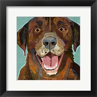 Framed Chocolate Lab