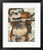 Framed Sloth