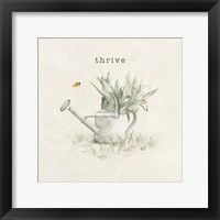 Garden Watering Can Framed Print